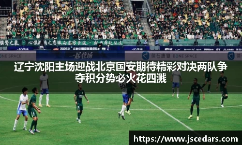 辽宁沈阳主场迎战北京国安期待精彩对决两队争夺积分势必火花四溅