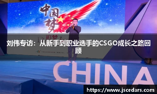 刘伟专访：从新手到职业选手的CSGO成长之路回顾